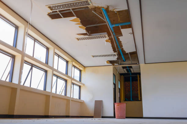 Best Basement water damage restoration  in Cienegas Terrace, TX