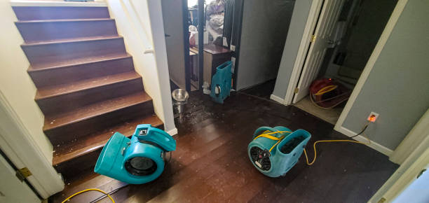 Best Fire Damage Restoration  in Cienegas Terrace, TX