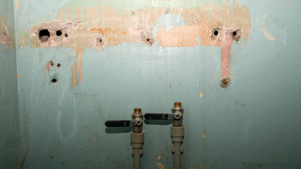 Reliable Cienegas Terrace, TX Water damage restoration Solutions