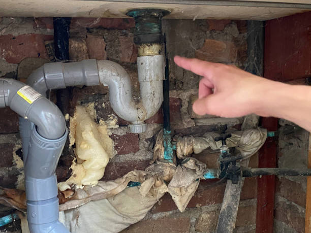 Best Professional water damage repair  in Cienegas Terrace, TX