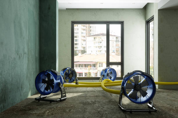 Best Water damage restoration near me  in Cienegas Terrace, TX