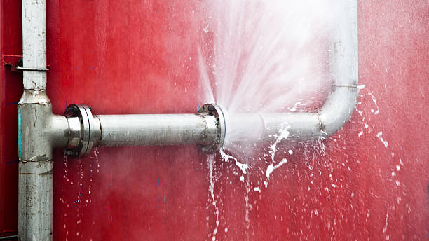 Best Water damage cleanup near me  in Cienegas Terrace, TX